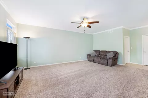 6717 Sahara Dr, Plainfield, IL 60586 photo 13