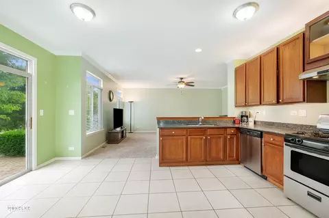 6717 Sahara Dr, Plainfield, IL 60586 photo 10