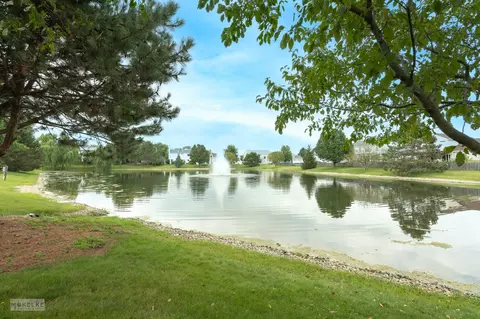 6717 Sahara Dr, Plainfield, IL 60586 photo 35