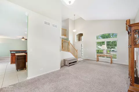 6717 Sahara Dr, Plainfield, IL 60586 photo 8