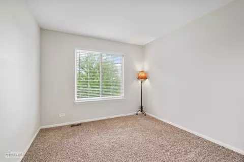 6717 Sahara Dr, Plainfield, IL 60586 photo 26
