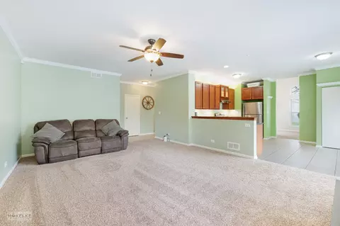 6717 Sahara Dr, Plainfield, IL 60586 photo 15