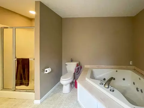 Bath - 302 Jonquil Ln, Mazon, IL 60444 photo 3 of 4