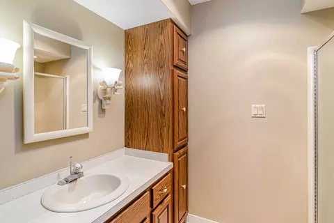 18438 Maple St, Lansing, IL 60438 photo 23