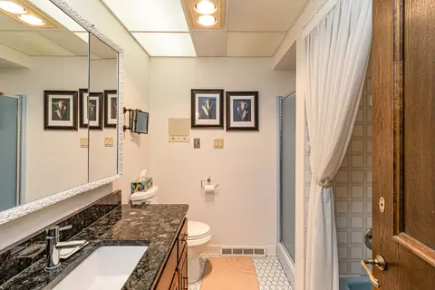 18438 Maple St, Lansing, IL 60438 photo 28