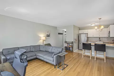 33 E Cedar St #12A, Chicago, IL 60611 photo 6