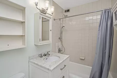 33 E Cedar St #12A, Chicago, IL 60611 photo 15