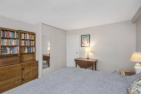 33 E Cedar St #12A, Chicago, IL 60611 photo 13