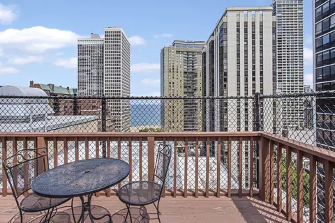 33 E Cedar St #12A, Chicago, IL 60611 photo 26