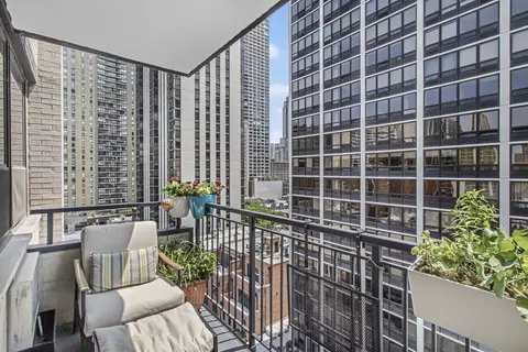 33 E Cedar St #12A, Chicago, IL 60611 photo 16