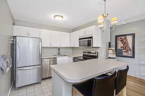 33 E Cedar St #12A, Chicago, IL 60611 photo 8