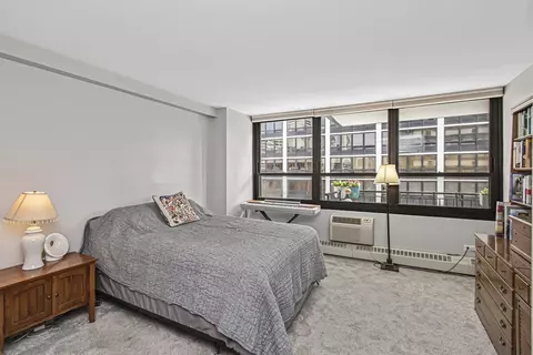 33 E Cedar St #12A, Chicago, IL 60611 photo 10