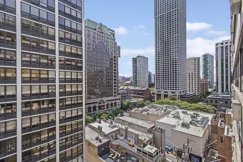 33 E Cedar St #12A, Chicago, IL 60611 photo 18