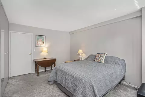 33 E Cedar St #12A, Chicago, IL 60611 photo 12