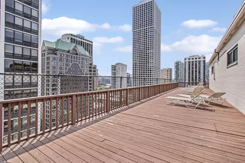 33 E Cedar St #12A, Chicago, IL 60611 photo 25