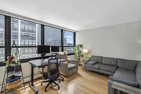 33 E Cedar St #12A, Chicago, IL 60611 photo 5