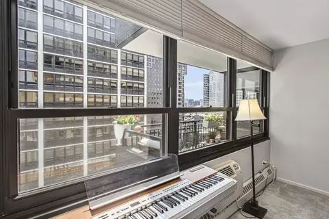 33 E Cedar St #12A, Chicago, IL 60611 photo 11