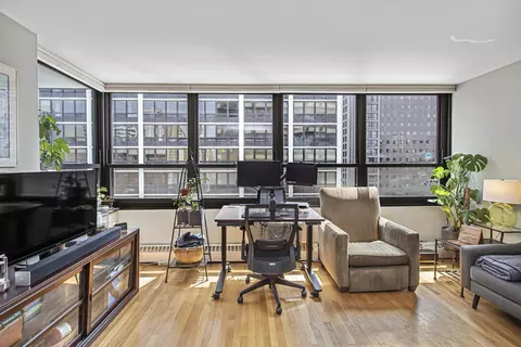 33 E Cedar St #12A, Chicago, IL 60611 photo 4