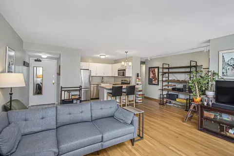 33 E Cedar St #12A, Chicago, IL 60611 photo 7
