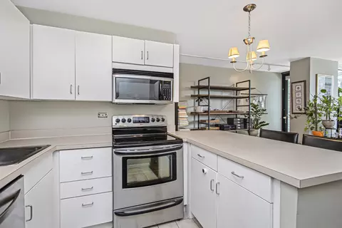33 E Cedar St #12A, Chicago, IL 60611 photo 9