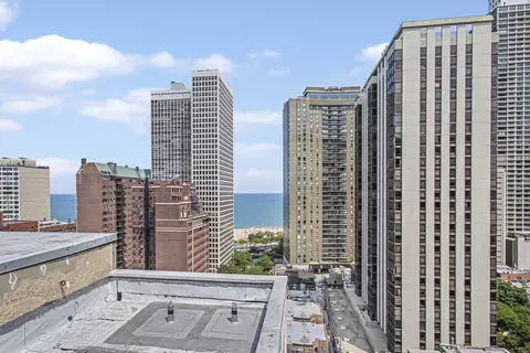 33 E Cedar St #12A, Chicago, IL 60611 photo 27