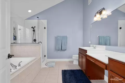 Bath - 12809 Wexford Dr, Plainfield, IL 60585 photo 2 of 4