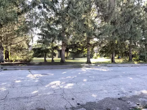 lot N Alfred Ave, Elgin, IL 60123