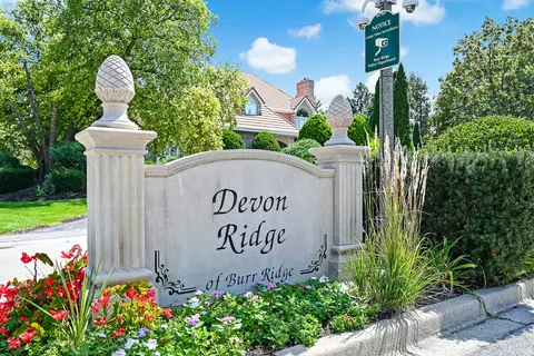 125 Circle Ridge Dr, Burr Ridge, IL 60527 photo 20