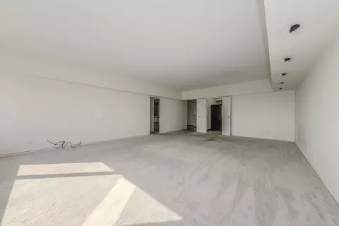 175 E Delaware Pl #6911, Chicago, IL 60611 photo 24