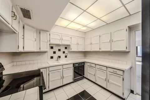 175 E Delaware Pl #6911, Chicago, IL 60611 photo 29