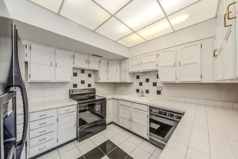 175 E Delaware Pl #6911, Chicago, IL 60611 photo 27