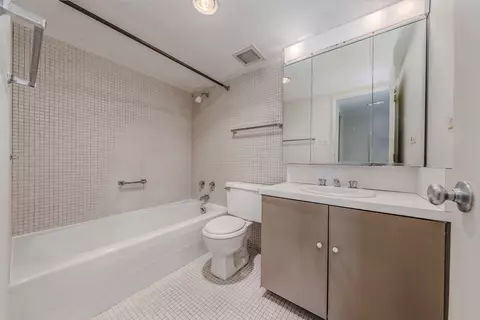 175 E Delaware Pl #6911, Chicago, IL 60611 photo 10