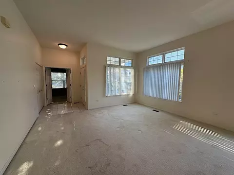 21424 W Larch Ct, Plainfield, IL 60544 photo 5
