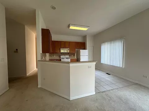 21424 W Larch Ct, Plainfield, IL 60544 photo 9