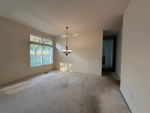 21424 W Larch Ct, Plainfield, IL 60544 photo 6
