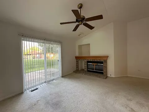 21424 W Larch Ct, Plainfield, IL 60544 photo 10