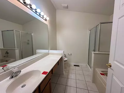 21424 W Larch Ct, Plainfield, IL 60544 photo 15