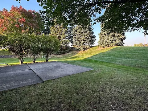 21424 W Larch Ct, Plainfield, IL 60544 photo 27