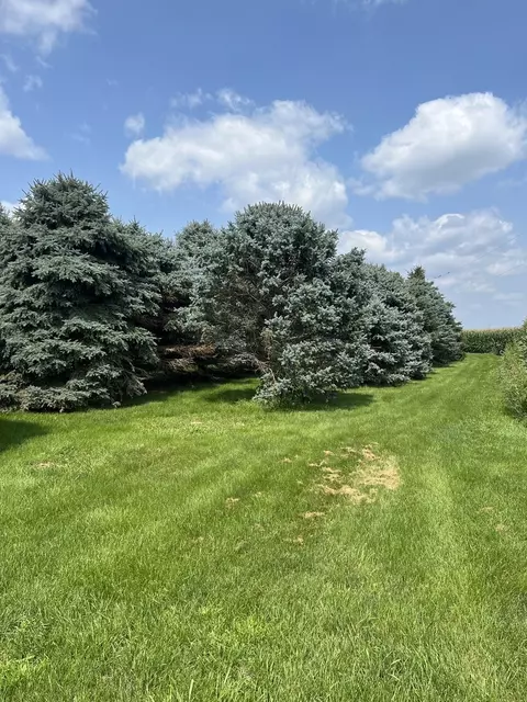 Exterior - 27971 E 500 North Rd, Forrest, IL 61741 photo 5 of 5