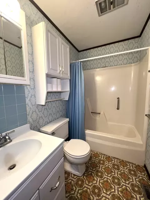 Bath - 27971 E 500 North Rd, Forrest, IL 61741 photo 1 of 1