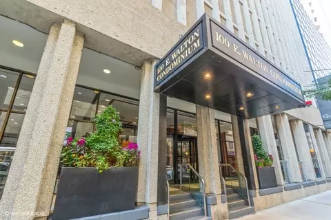 100 E Walton Pl #10DE, Chicago, IL 60611 photo 1
