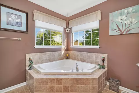 16333 Springview Dr, Lockport, IL 60441 photo 19