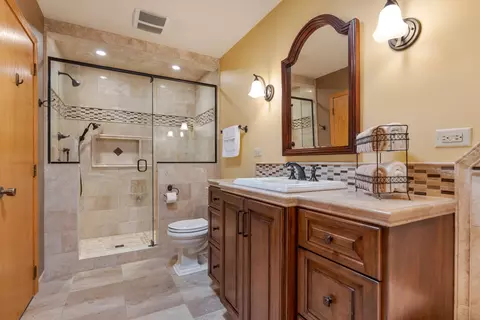 Bath - 9859 Cambridge Ct #B, Mokena, IL 60448 photo 4 of 6