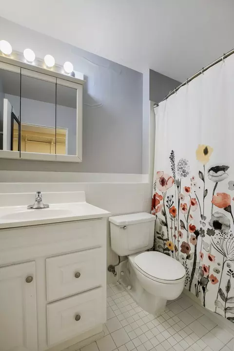 Bath - 40 E 9th St #304, Chicago, IL 60605 photo 2 of 2