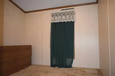 101 E Van Alstine St, Secor, IL 61771 photo 23
