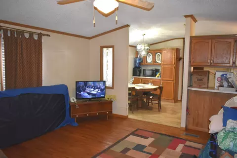 101 E Van Alstine St, Secor, IL 61771 photo 7