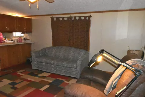101 E Van Alstine St, Secor, IL 61771 photo 6