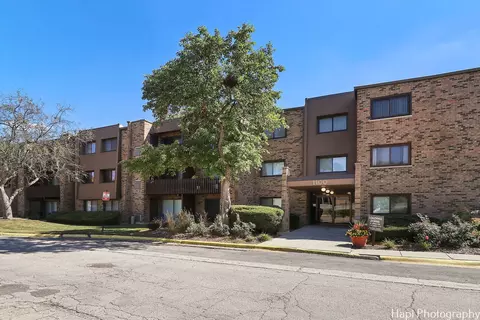 1100 E Randville Dr #103, Palatine, IL 60074