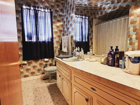 20 E Kathleen Dr, Des Plaines, IL 60016 photo 19
