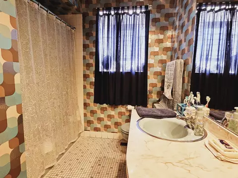 20 E Kathleen Dr, Des Plaines, IL 60016 photo 18